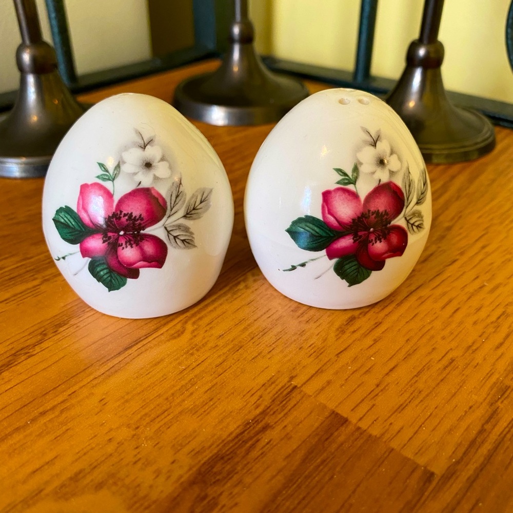 Vintage Royal Taunton Fine Bone China Salt and Pepper shakers